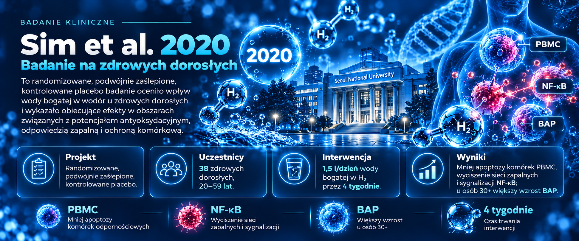 Autorska wizualizacja naukowa badania Sim et al. 2020 u zdrowych dorosłych
